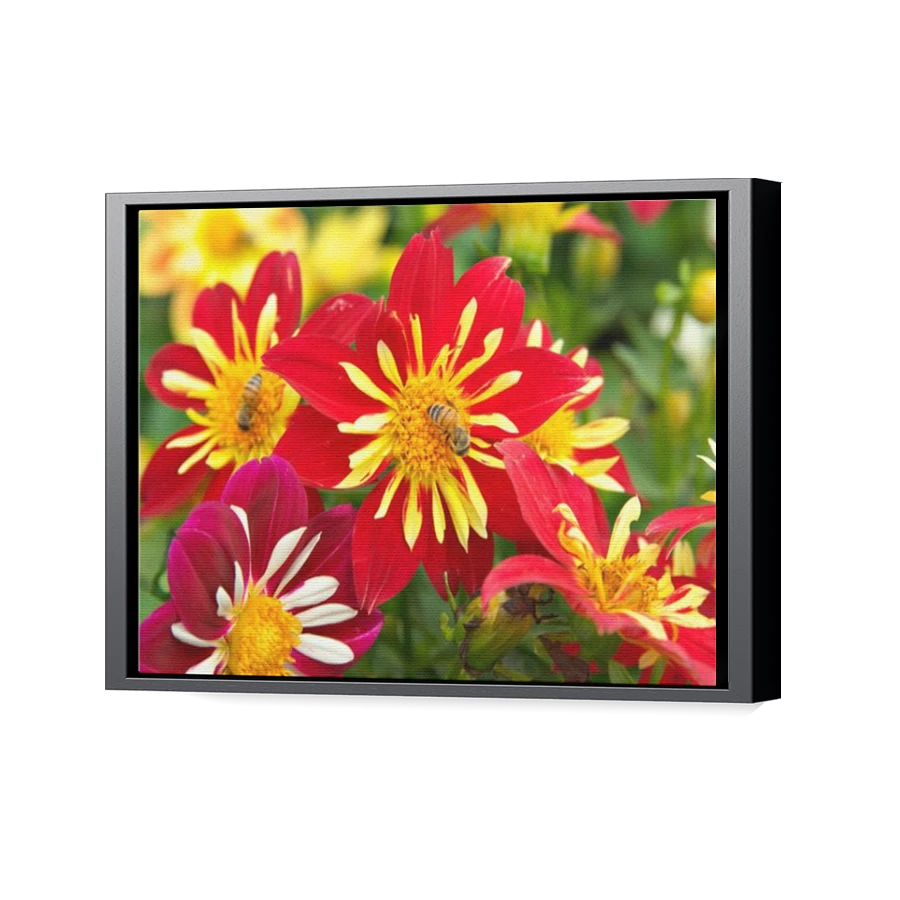 Thumbnail for Canvas - Black Floating Frame