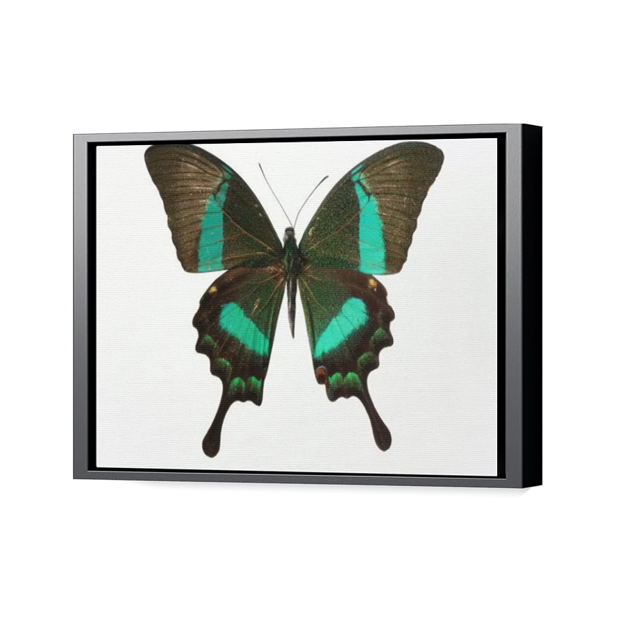 Thumbnail for Canvas - Black Floating Frame