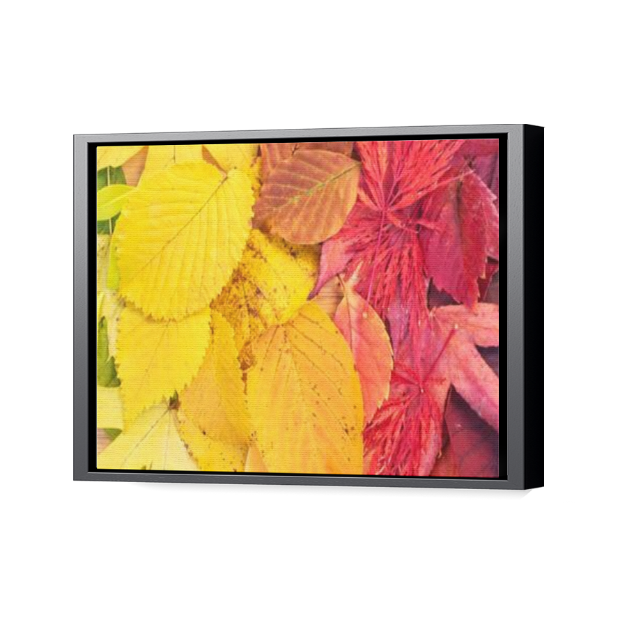 Thumbnail for Canvas - Black Floating Frame