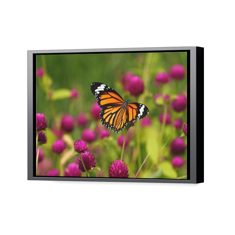 Thumbnail for Canvas - Black Floating Frame