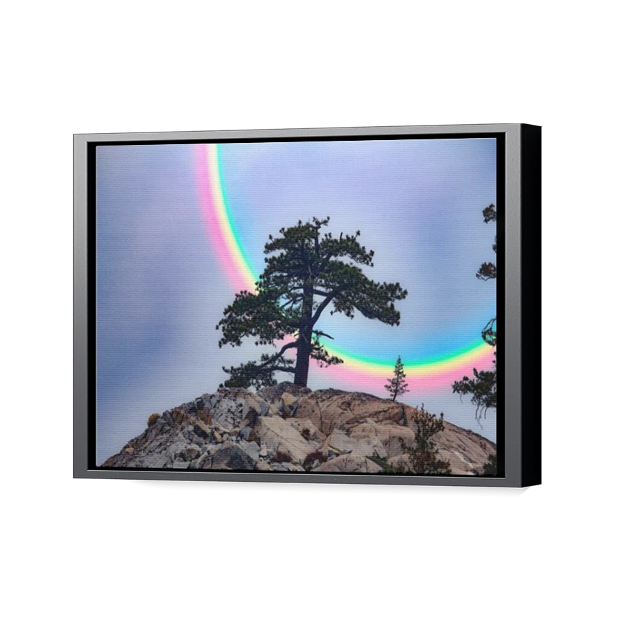 Thumbnail for Canvas - Black Floating Frame