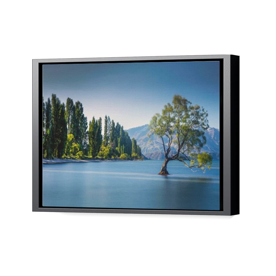 Thumbnail for Canvas - Black Floating Frame