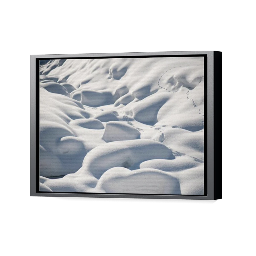 Thumbnail for Canvas - Black Floating Frame
