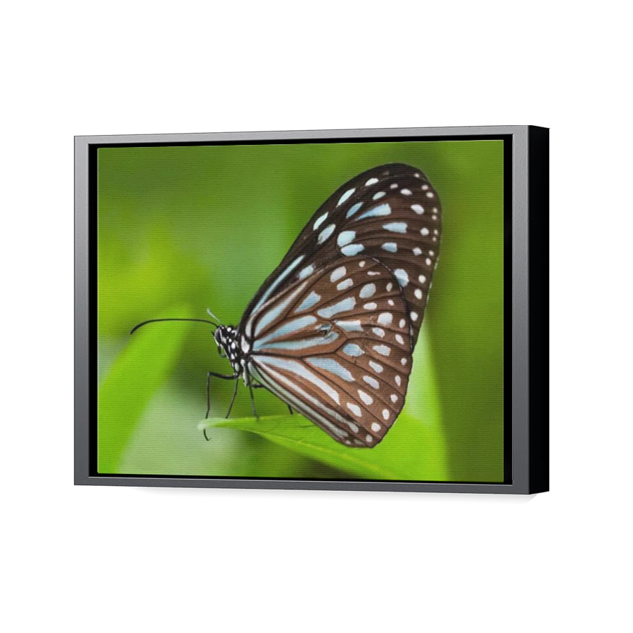 Thumbnail for Canvas - Black Floating Frame