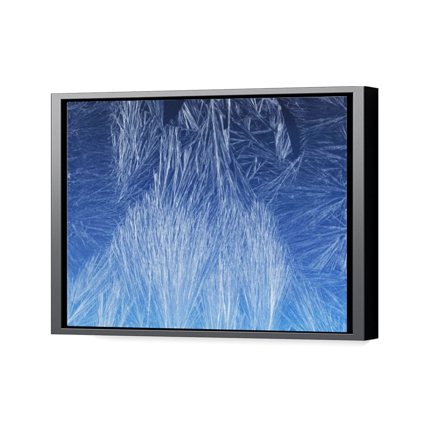Thumbnail for Canvas - Black Floating Frame