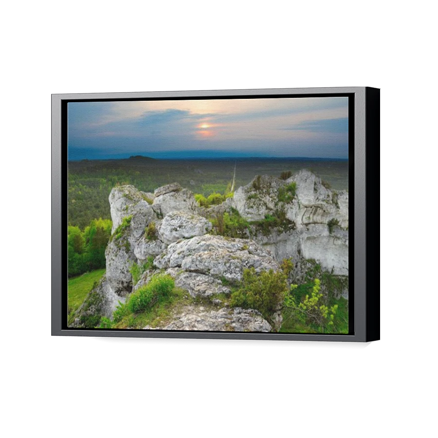 Thumbnail for Canvas - Black Floating Frame