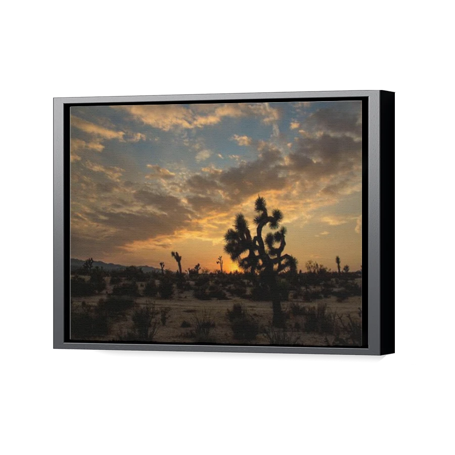 Thumbnail for Canvas - Black Floating Frame