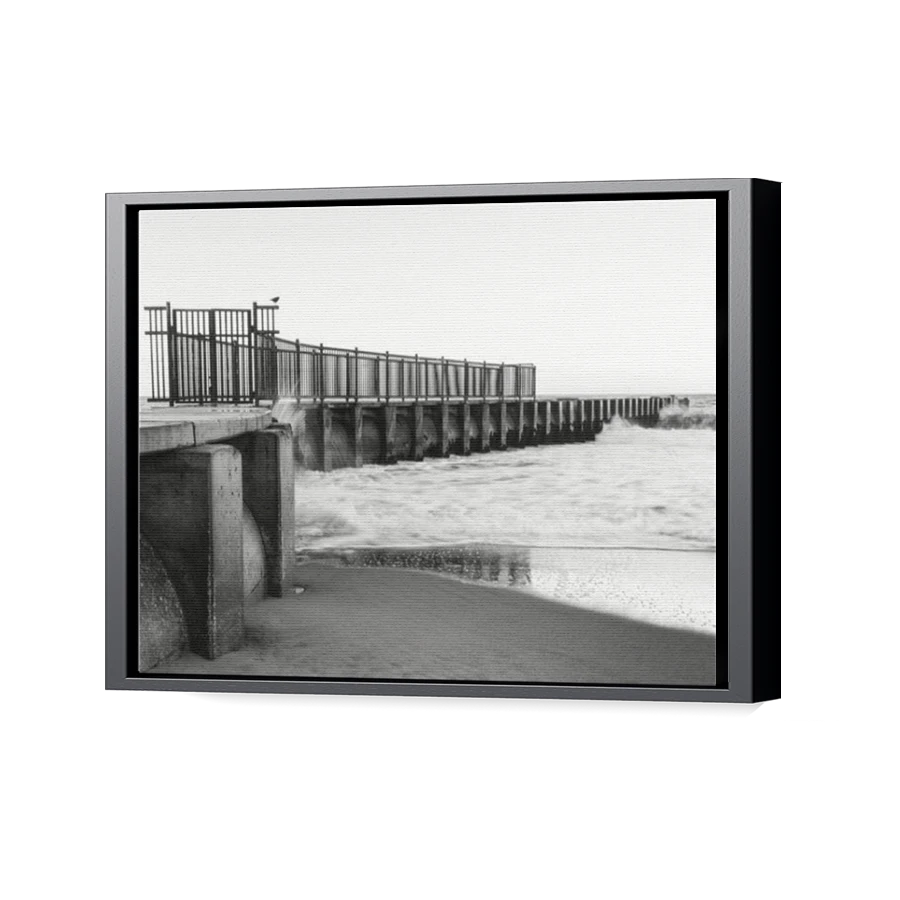 Thumbnail for Canvas - Black Floating Frame