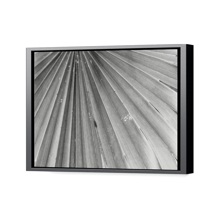 Thumbnail for Canvas - Black Floating Frame