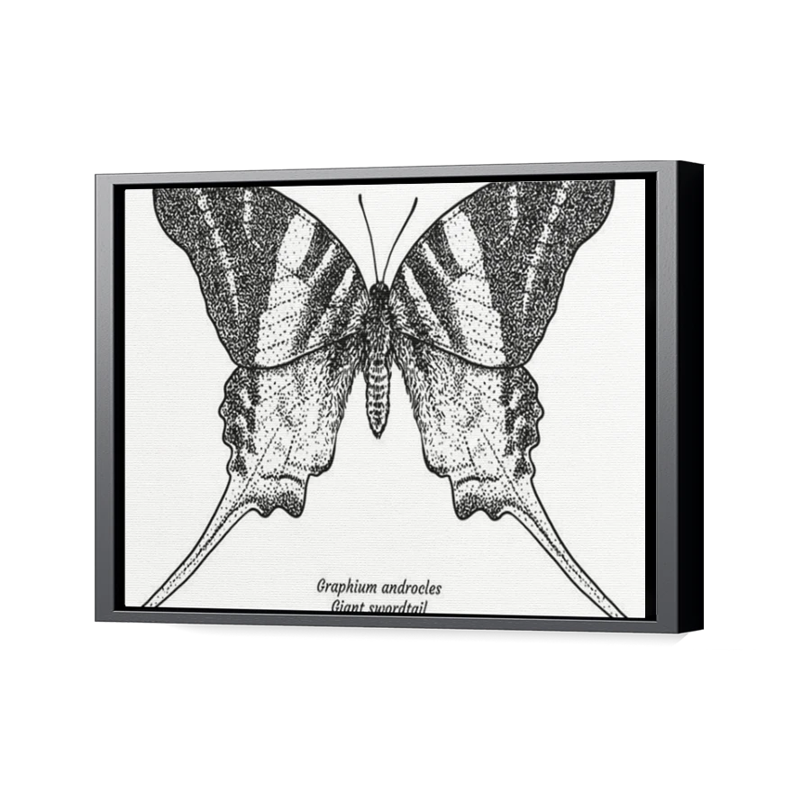 Thumbnail for Canvas - Black Floating Frame