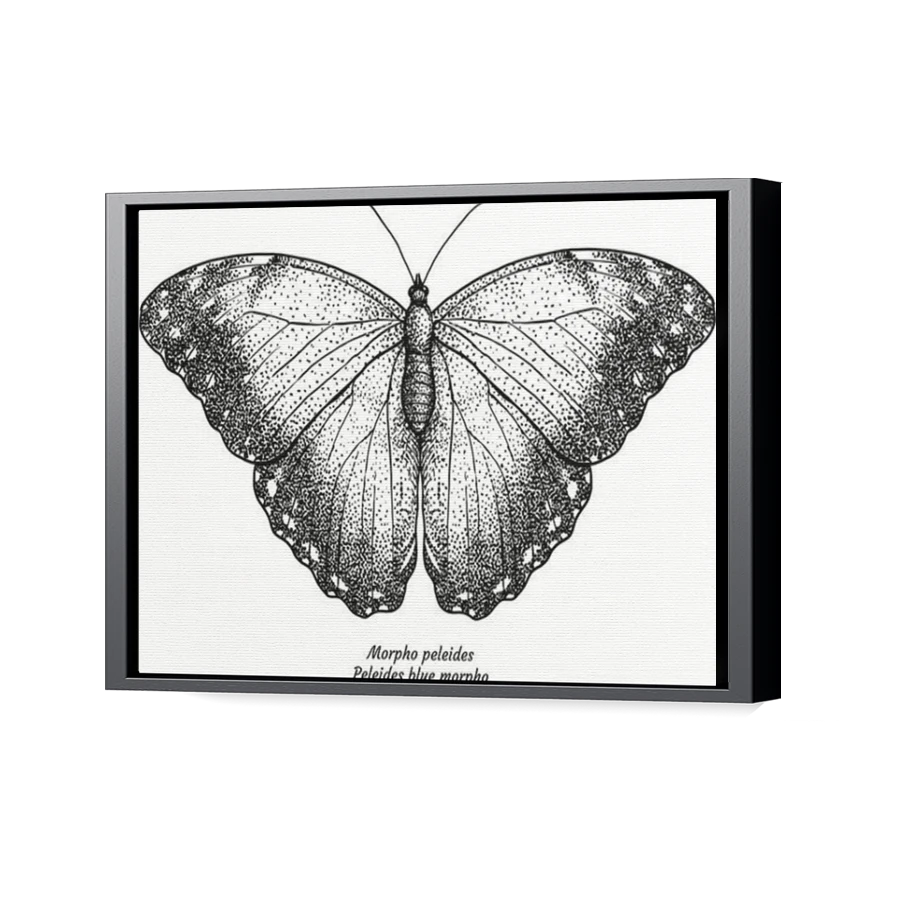 Thumbnail for Canvas - Black Floating Frame