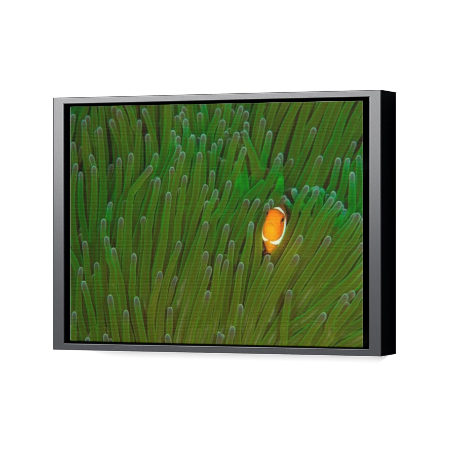 Thumbnail for Canvas - Black Floating Frame