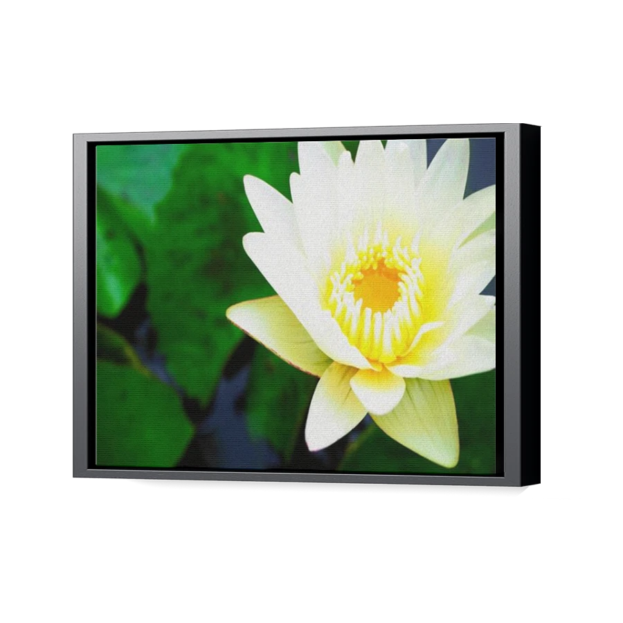 Thumbnail for Canvas - Black Floating Frame