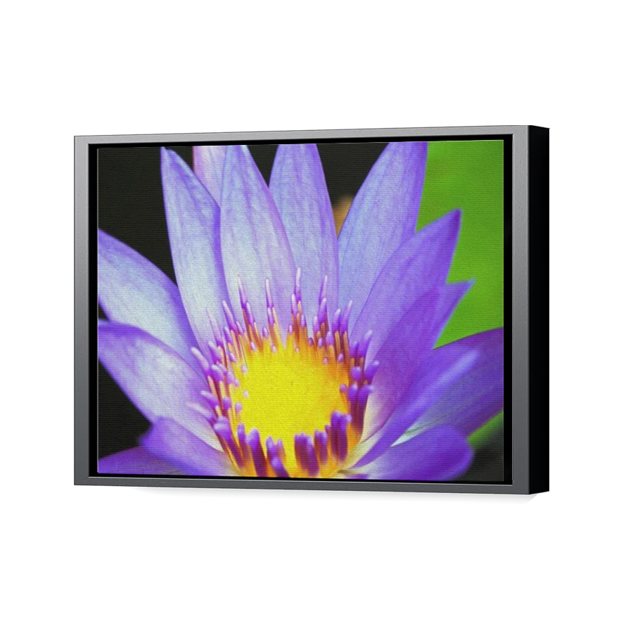 Thumbnail for Canvas - Black Floating Frame