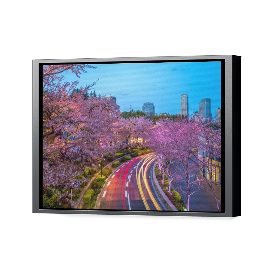 Thumbnail for Canvas - Black Floating Frame