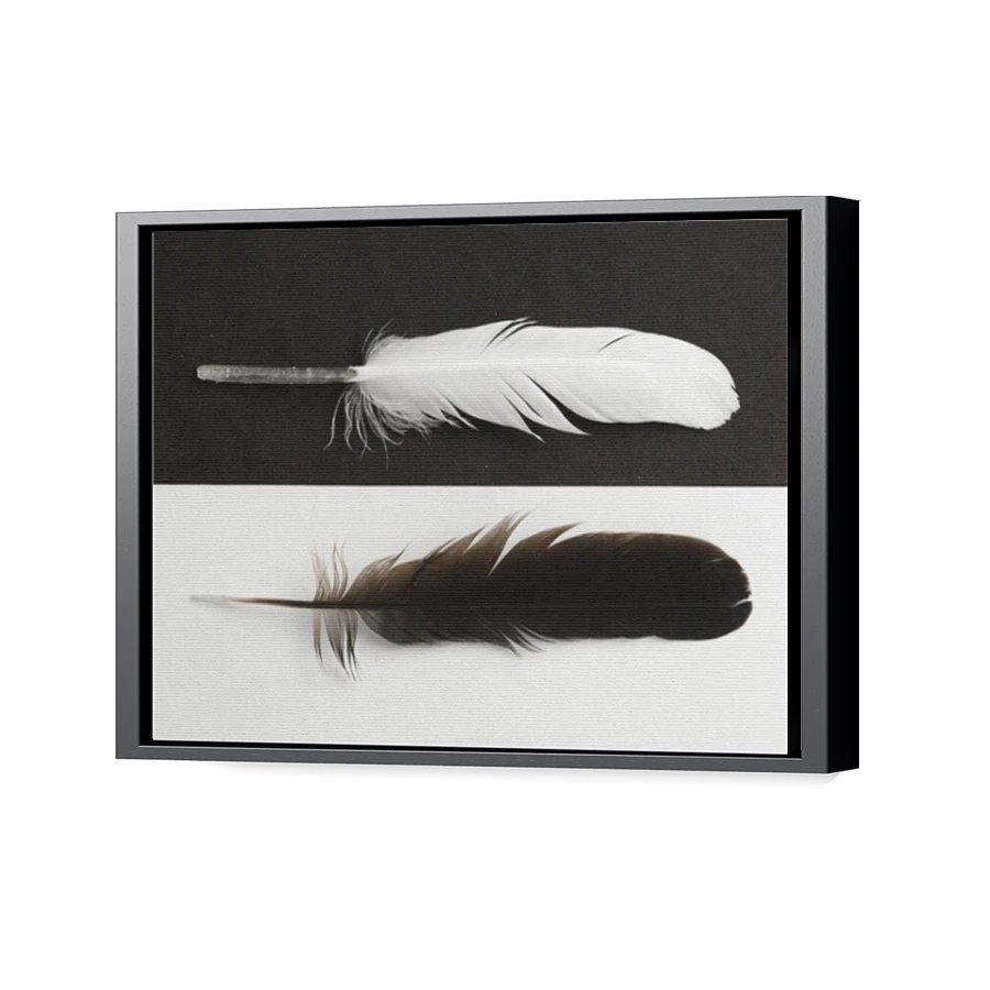 Thumbnail for Canvas - Black Floating Frame