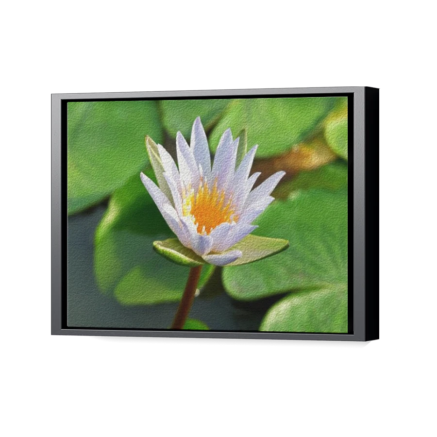 Thumbnail for Canvas - Black Floating Frame