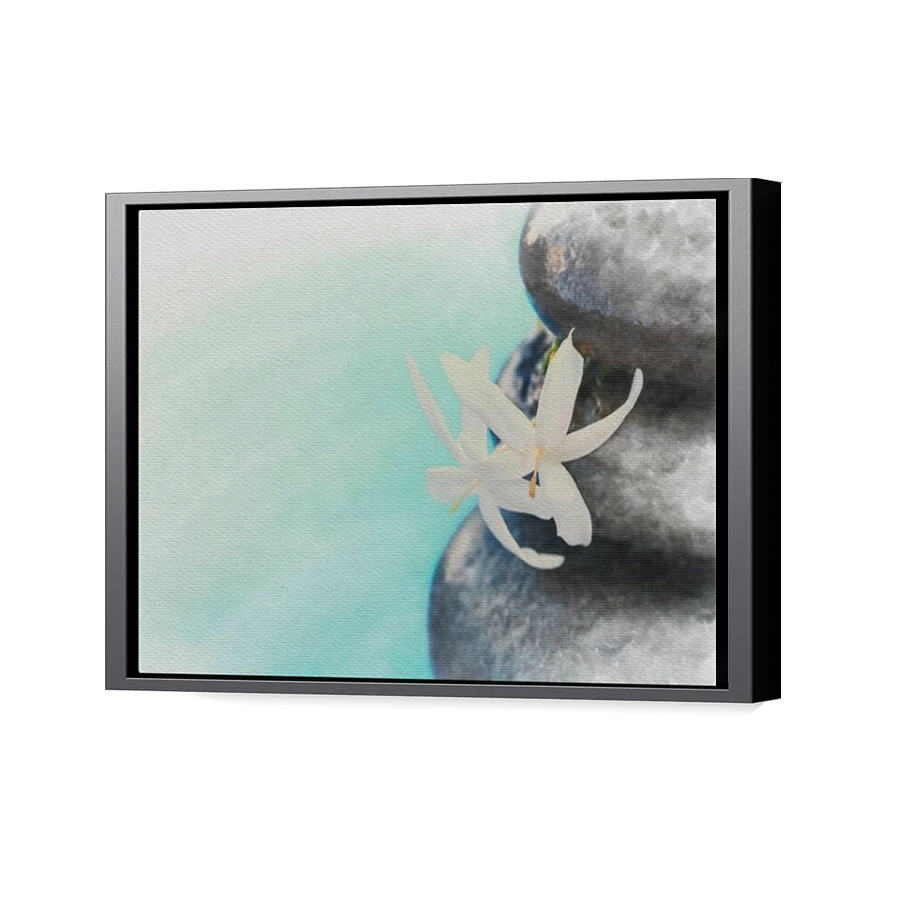 Thumbnail for Canvas - Black Floating Frame
