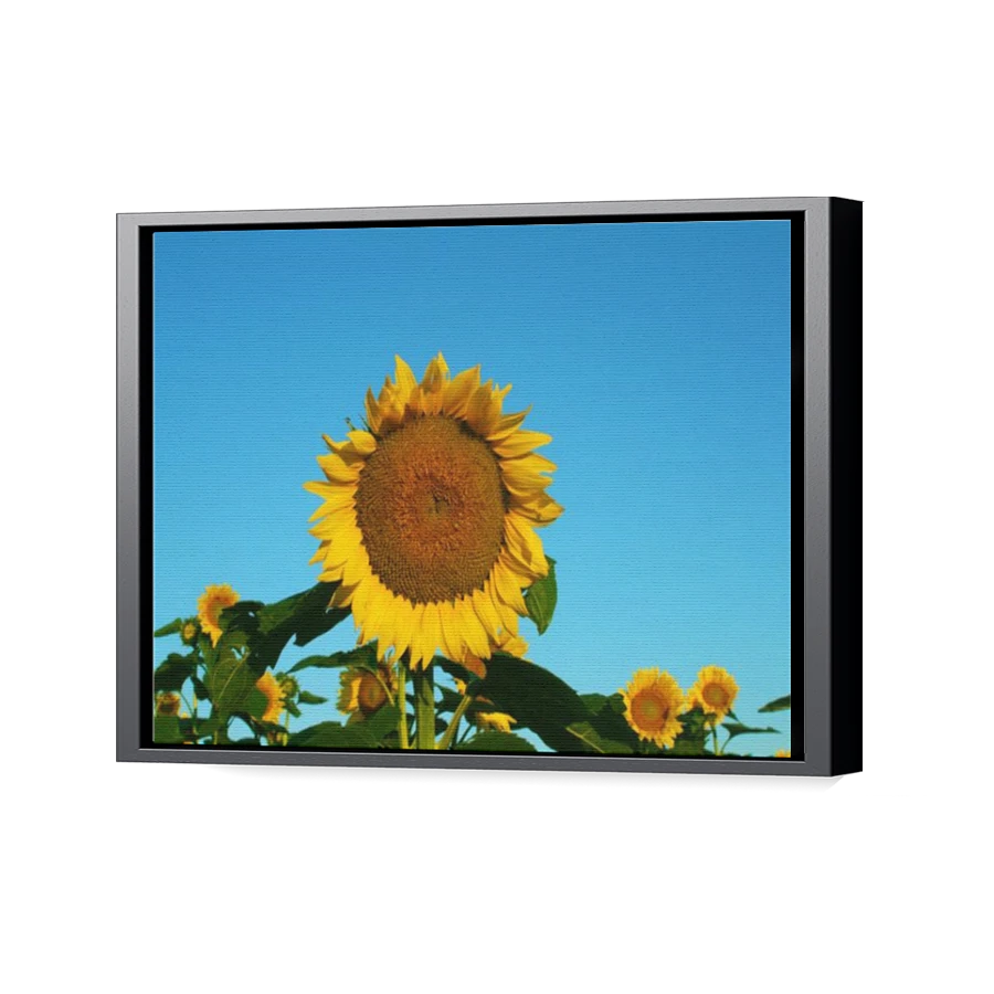 Thumbnail for Canvas - Black Floating Frame