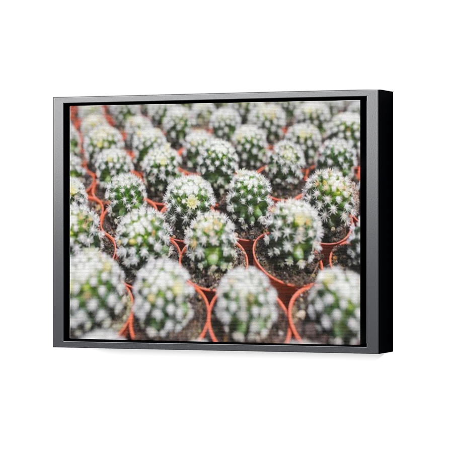 Thumbnail for Canvas - Black Floating Frame