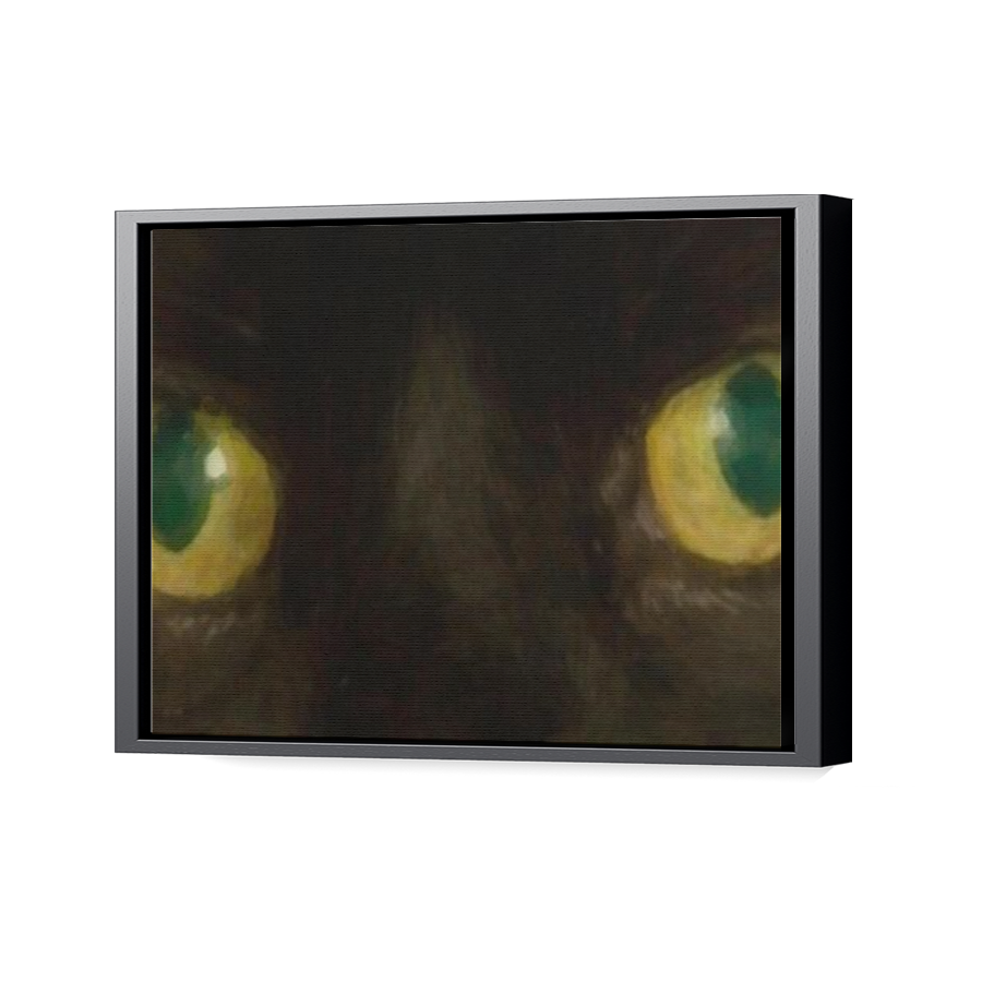 Thumbnail for Canvas - Black Floating Frame
