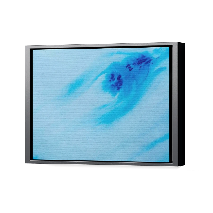 Thumbnail for Canvas - Black Floating Frame