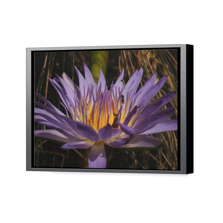 Thumbnail for Canvas - Black Floating Frame