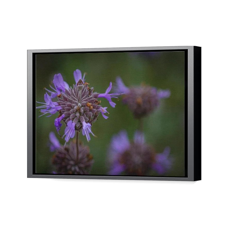 Thumbnail for Canvas - Black Floating Frame