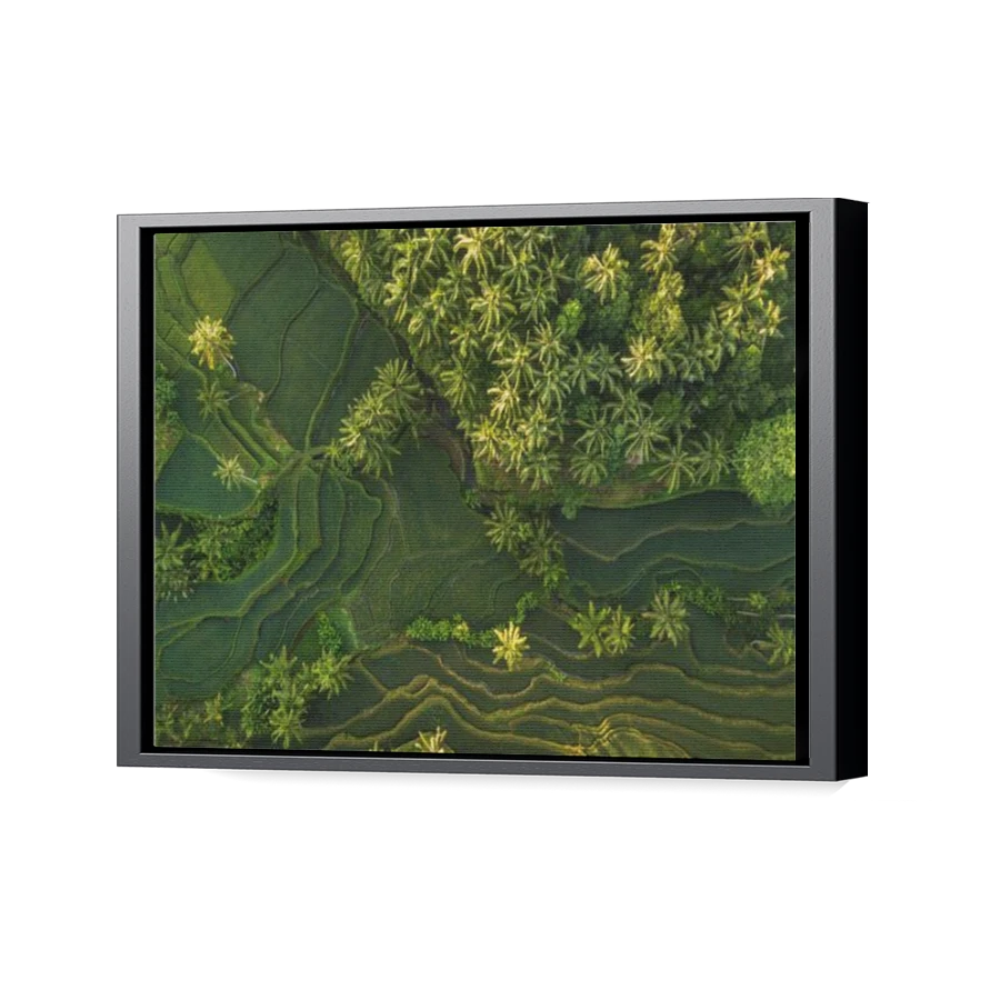 Thumbnail for Canvas - Black Floating Frame
