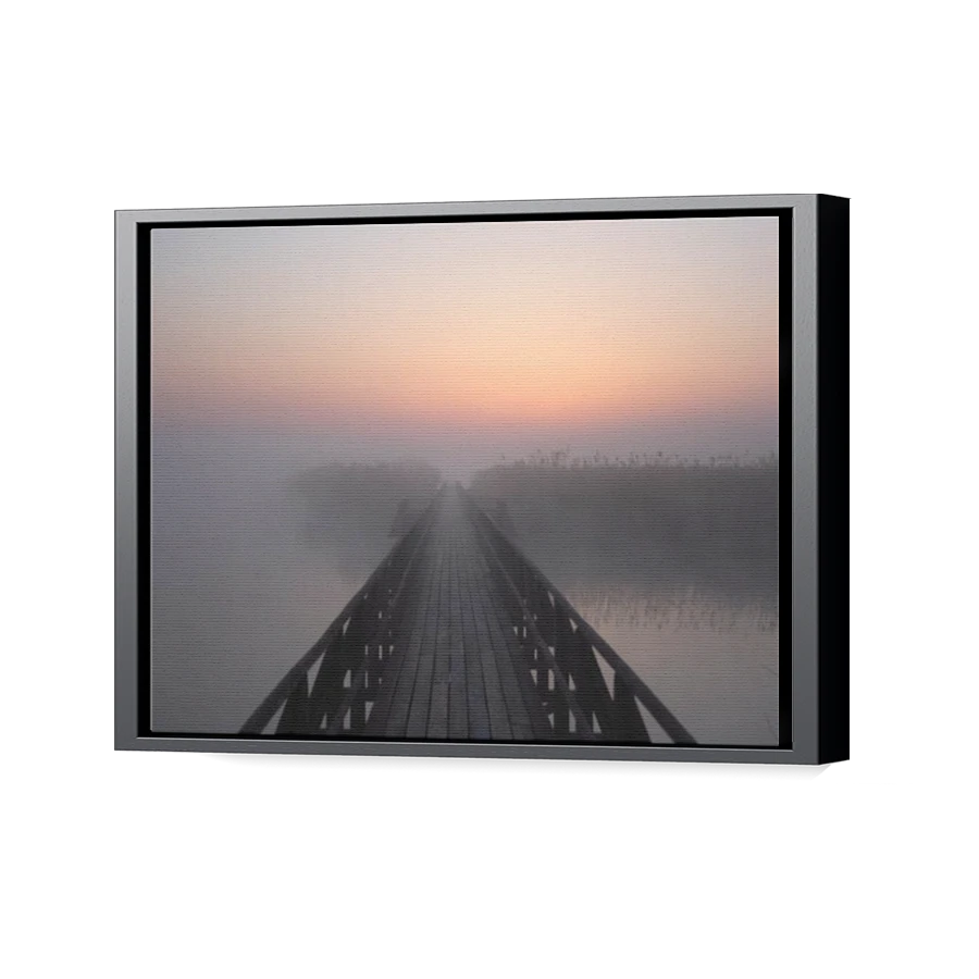 Thumbnail for Canvas - Black Floating Frame