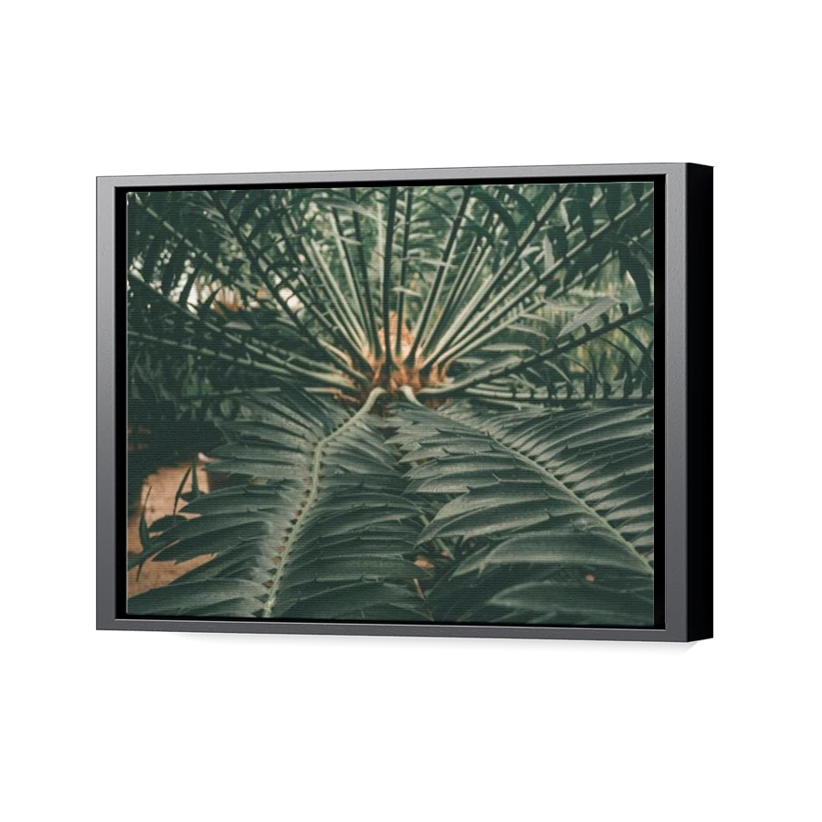 Thumbnail for Canvas - Black Floating Frame
