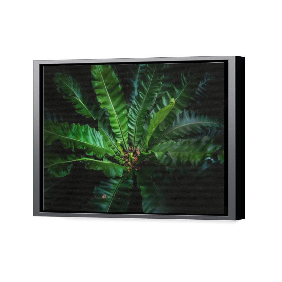 Thumbnail for Canvas - Black Floating Frame