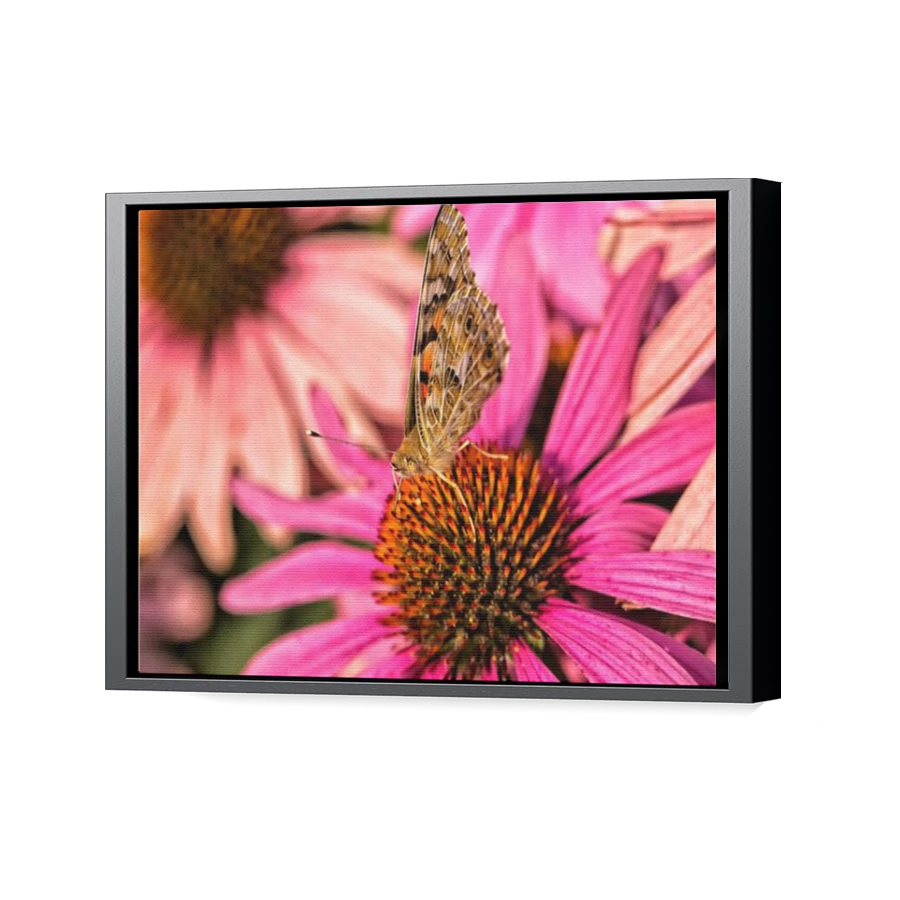 Thumbnail for Canvas - Black Floating Frame