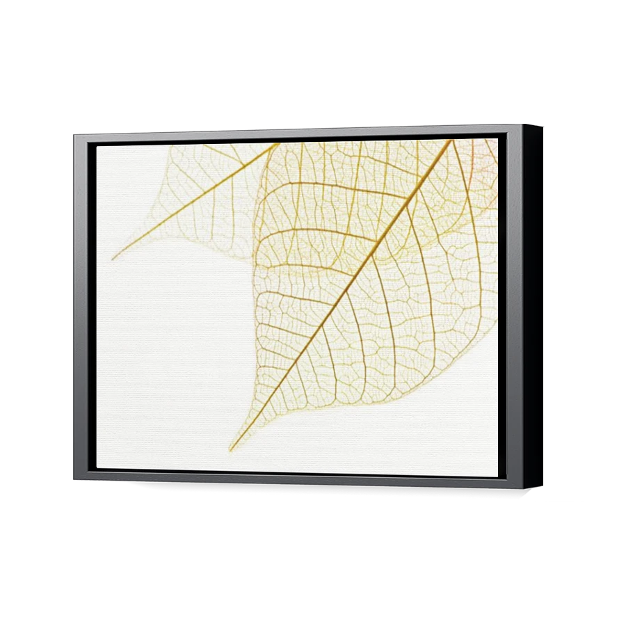 Thumbnail for Canvas - Black Floating Frame
