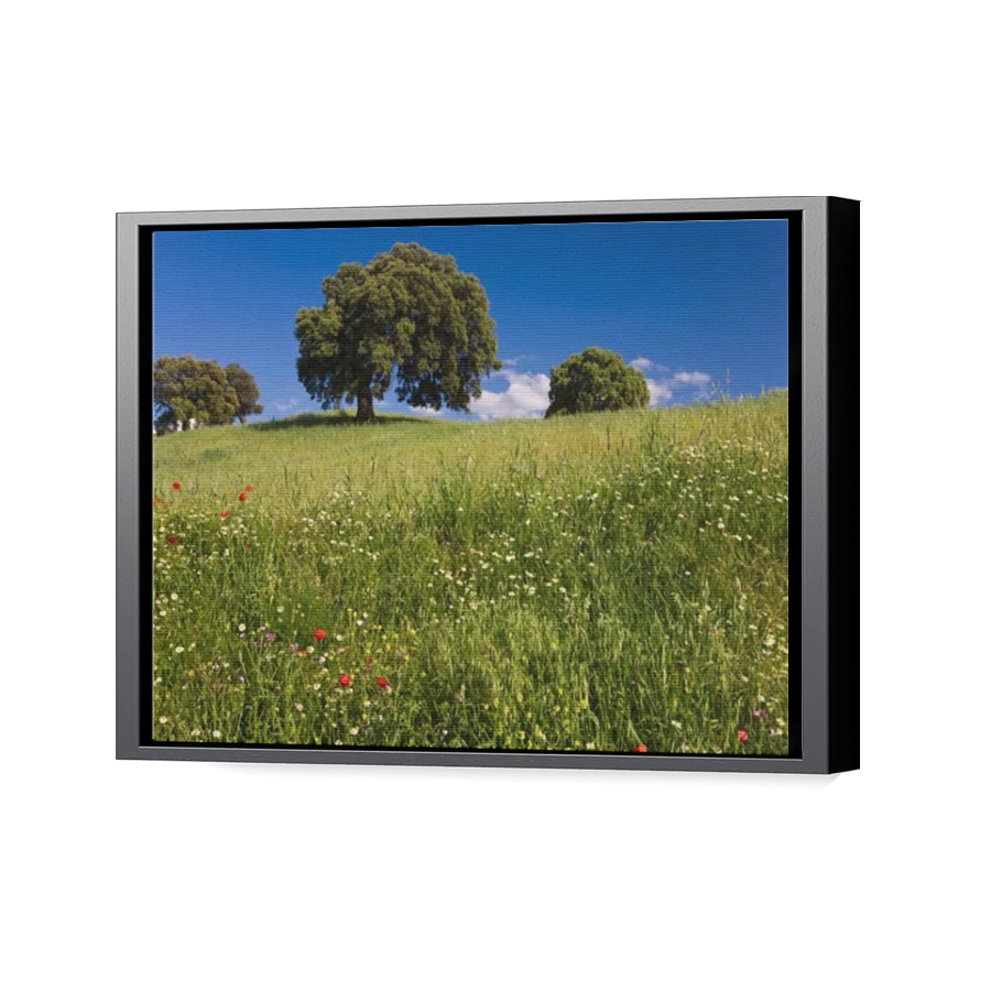 Thumbnail for Canvas - Black Floating Frame