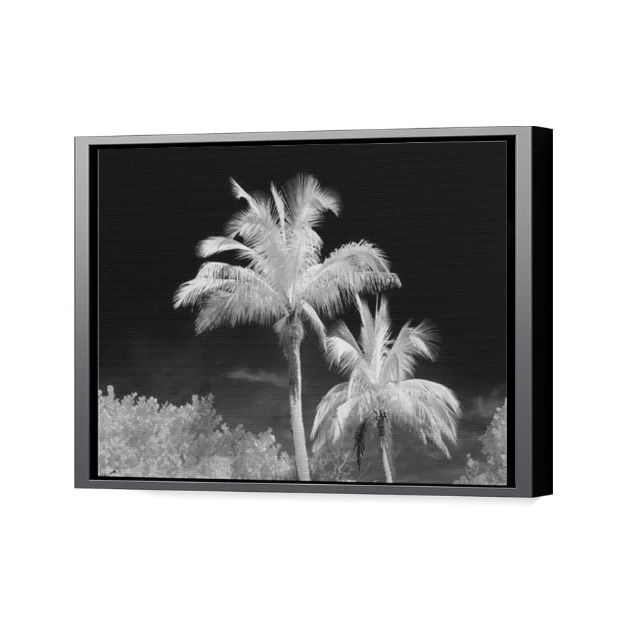 Thumbnail for Canvas - Black Floating Frame