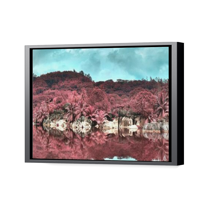 Thumbnail for Canvas - Black Floating Frame