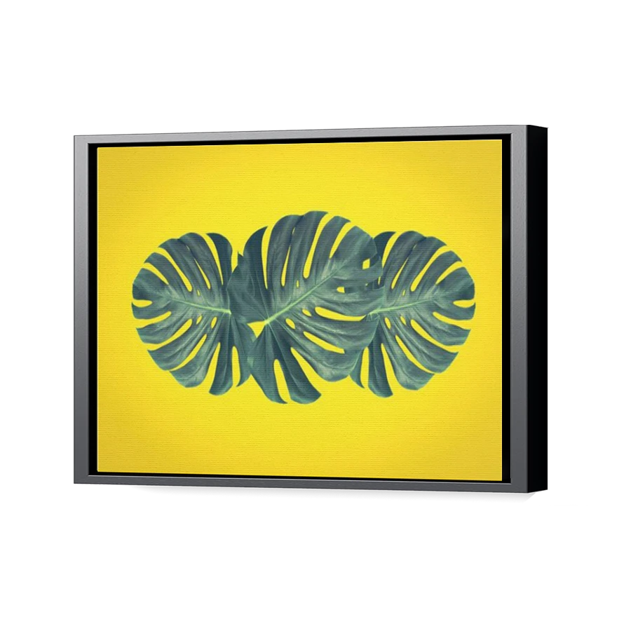 Thumbnail for Canvas - Black Floating Frame