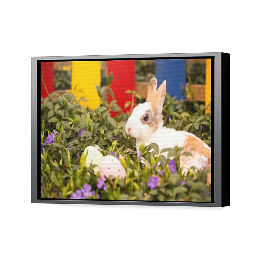 Thumbnail for Canvas - Black Floating Frame