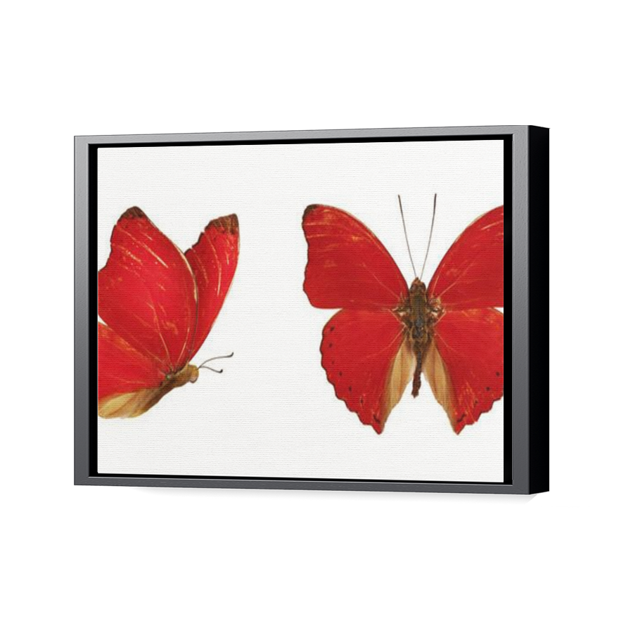 Thumbnail for Canvas - Black Floating Frame