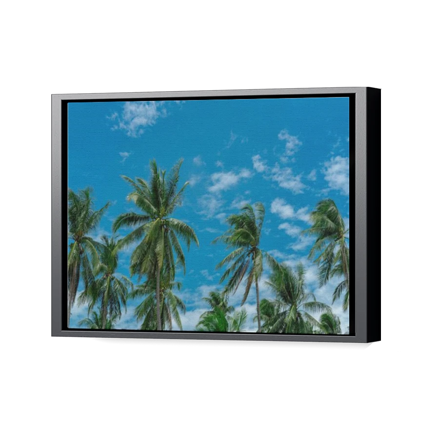Thumbnail for Canvas - Black Floating Frame