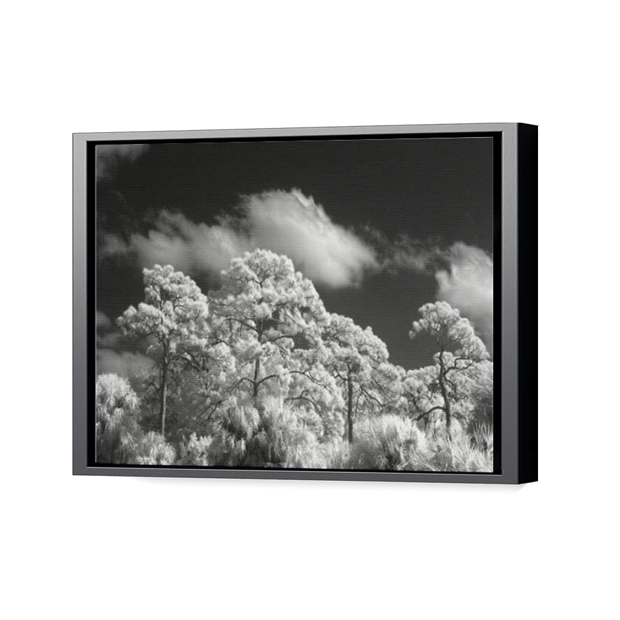 Thumbnail for Canvas - Black Floating Frame