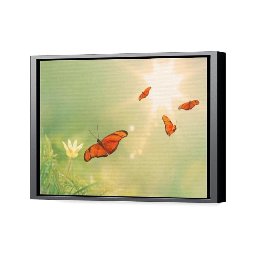 Thumbnail for Canvas - Black Floating Frame