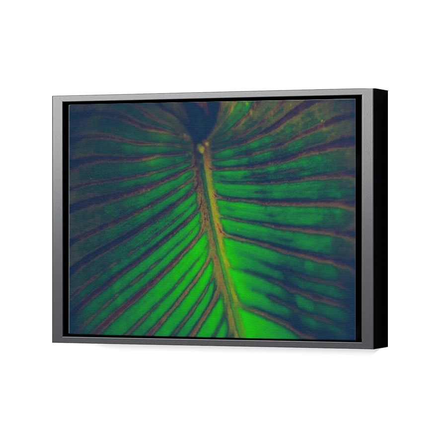 Thumbnail for Canvas - Black Floating Frame