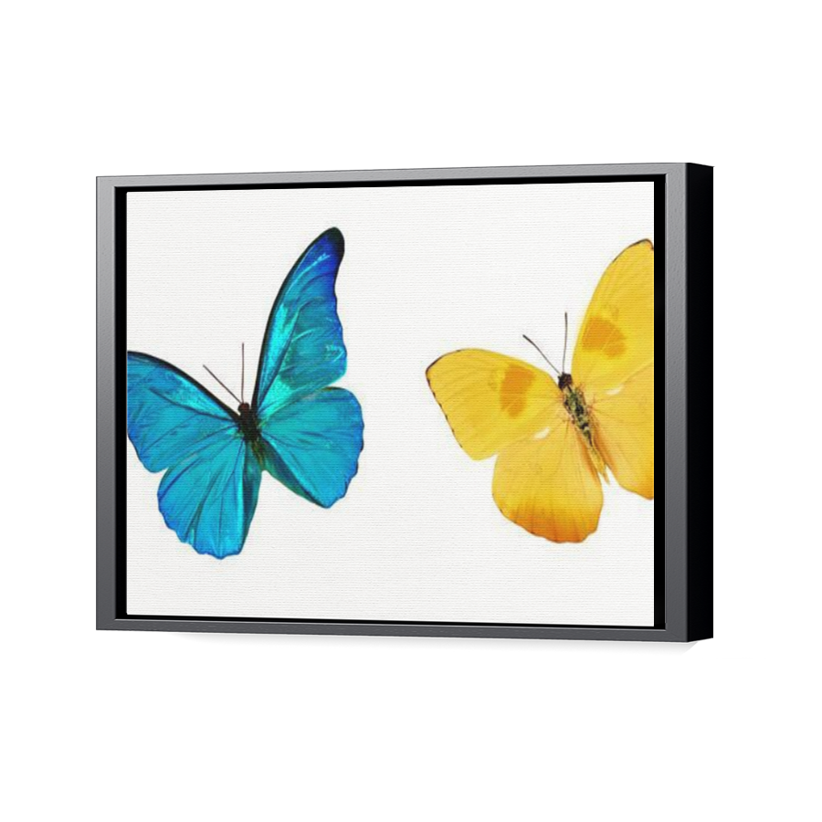 Thumbnail for Canvas - Black Floating Frame