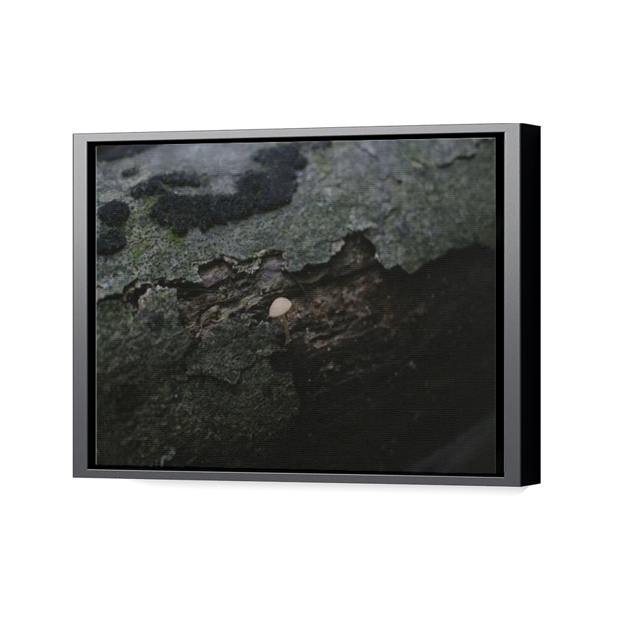 Thumbnail for Canvas - Black Floating Frame