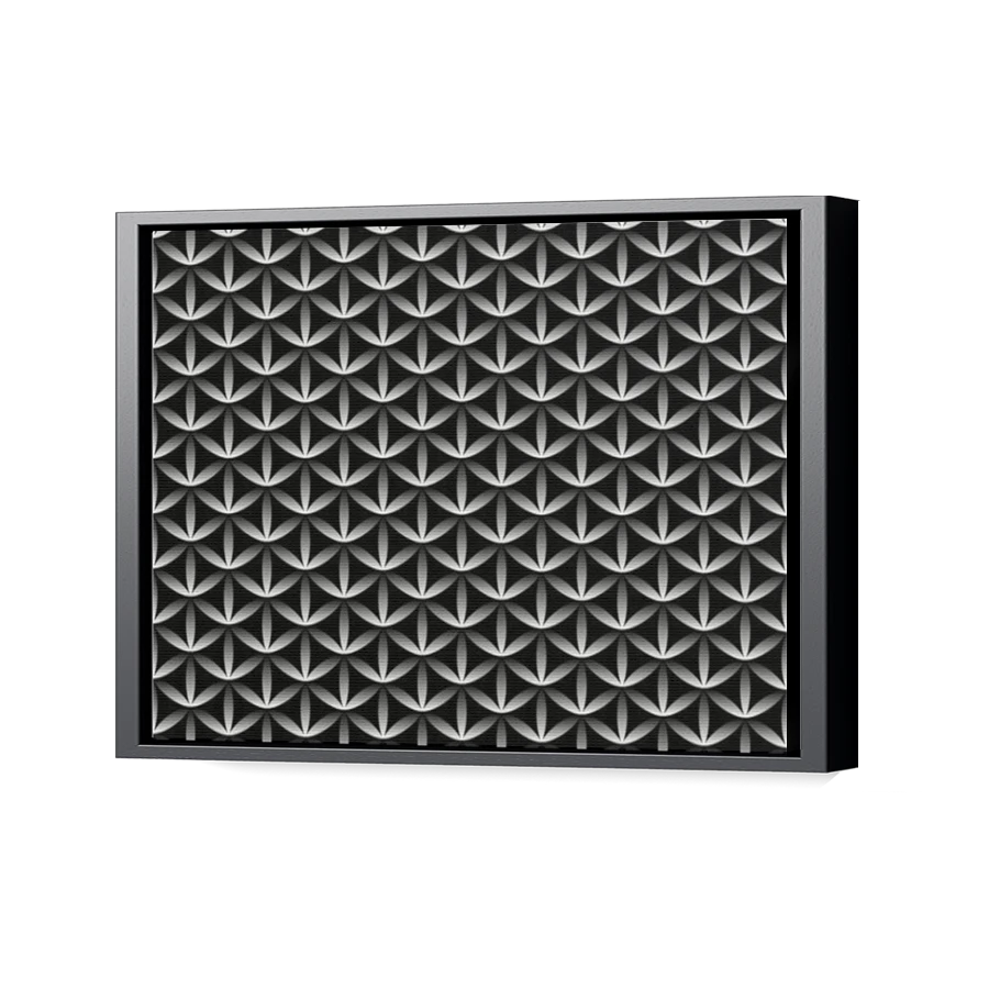 Thumbnail for Canvas - Black Floating Frame