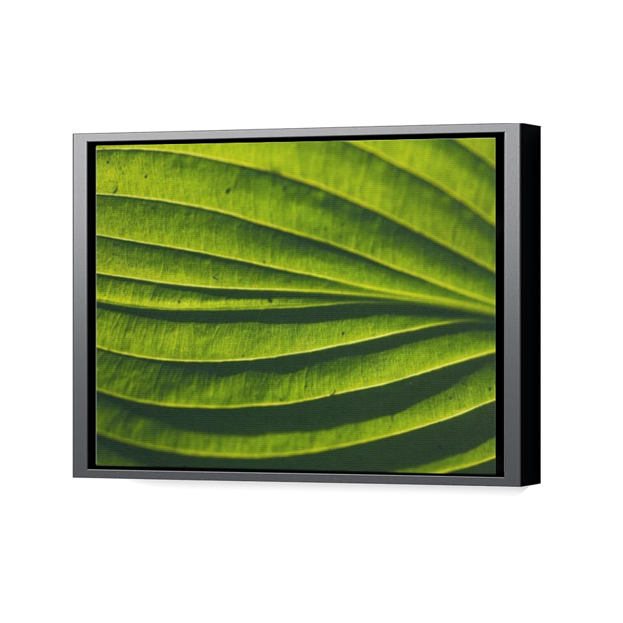 Thumbnail for Canvas - Black Floating Frame
