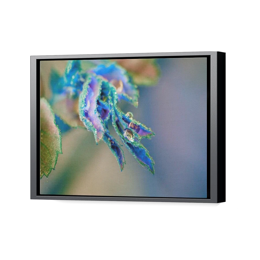 Thumbnail for Canvas - Black Floating Frame