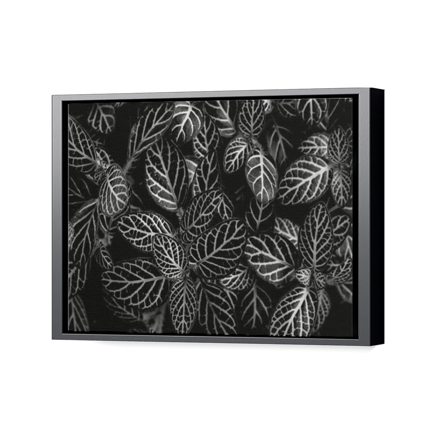 Thumbnail for Canvas - Black Floating Frame